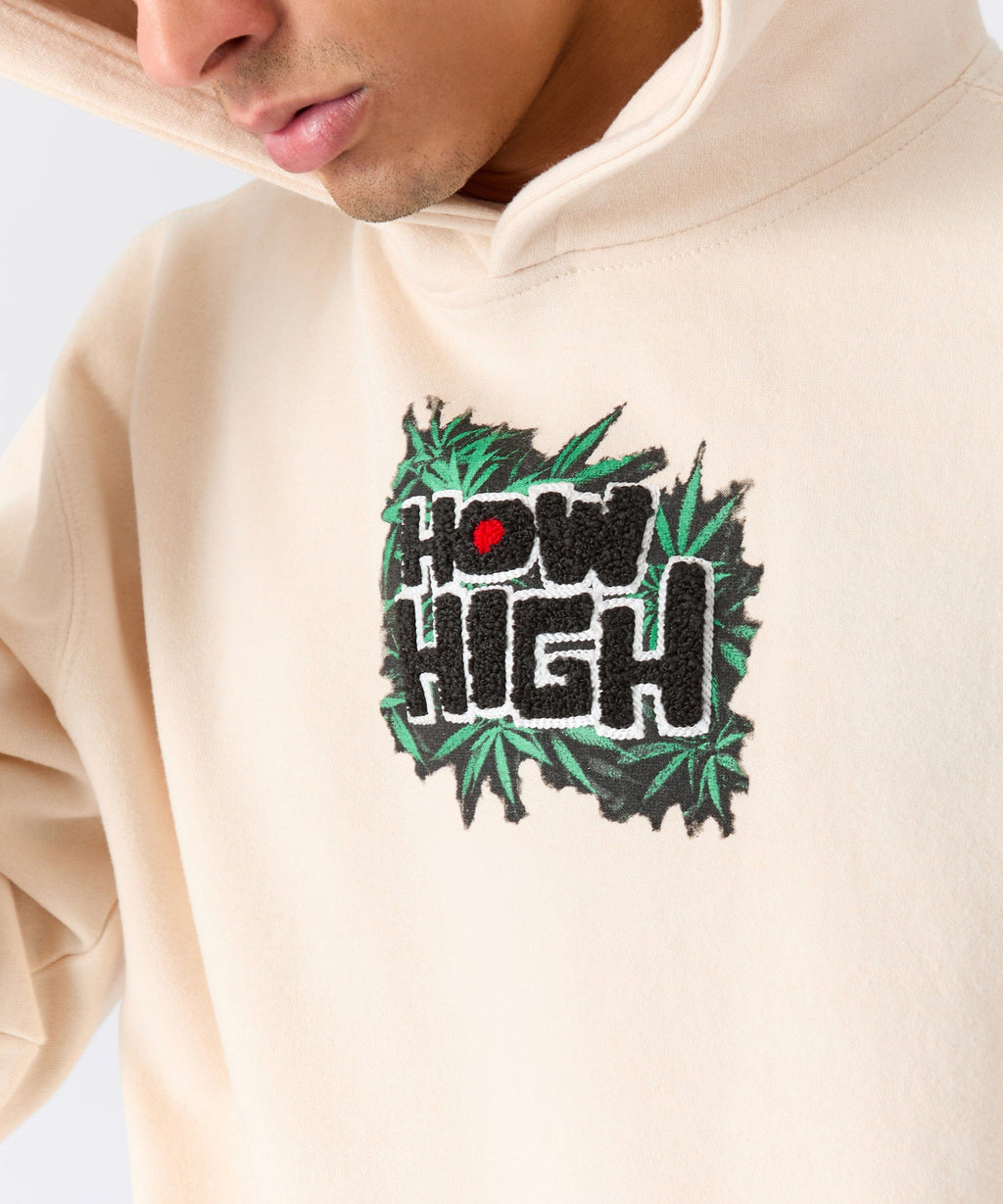 How High They've Got Their Degrees Graphic Hoodie - Tan