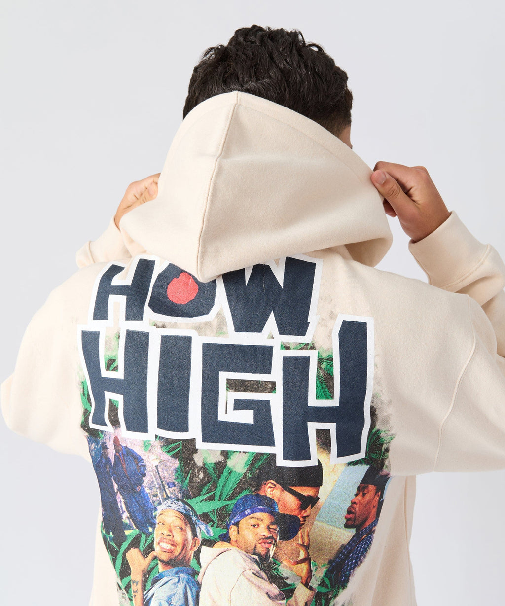 How High They've Got Their Degrees Graphic Hoodie - Tan